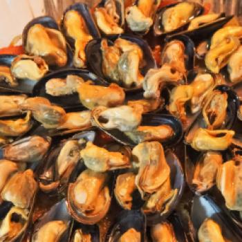 Die Muscheln werden mit der unteren Schale in die Auflaufform gesetzt - (c) Jörg Bornmann
