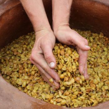 Ploder - Rosenberg gewinnt internationalen Bioweinpreis - (c) Ploder - Rosenberg
