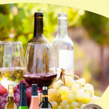 Rueda live Tasting mit Master of Wine Konstantin Baum - (c) BELViNi