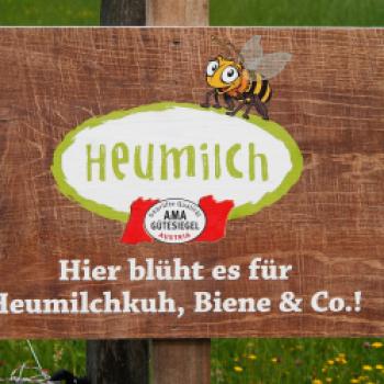 Teil der Bio-Heu-Region ist das Salzburger Seenland, hier wird der regionale Genuss besonders gelebt – © Jörg Bornmann