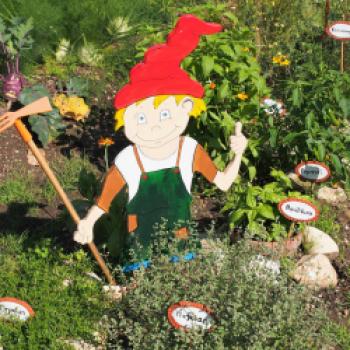 Von ‚Kräutergarten zu Kräutergarten‘ kann man im Salzburger Seenland viele Kräuter-Ideen sammeln – © Jörg Bornmann