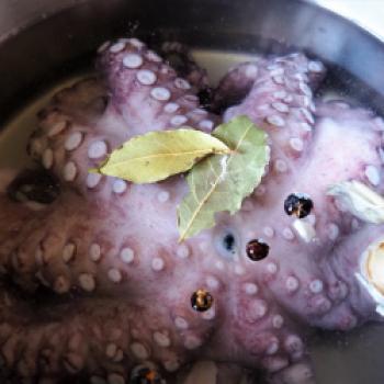Pulpo-Salat mit Tomaten, Fenchel, Oliven und Kapern - (c) Jörg Bornmann