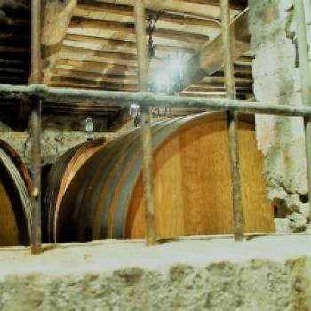 Die Weinberge beider Weingüter verfügen über eine bestmögliche Ausrichtung auf 310 und 440m Seehöhe - (c) Jörg Bornmann