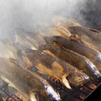 Der Saibling gehört neben der Forelle zu den typischen, alpinen Fischen – © Jörg Bornmann