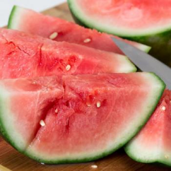 Italian Melon  Die erfrischende Wassermelone als Drink - <a href="https://www.genussfreak.de/italian-melon" target="_blank">zum Rezept</a> - (c) Steve Buissinne auf Pixabay