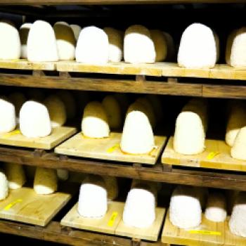 Schon mal was von Zincarlin-Käse gehört? Der pikante Rohmilchkäse wurde im 19. Jahrhundert in fast jeder Familie im nahen Muggiotal produziert - (c) Sabine Ludwig