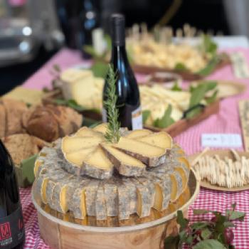 Languedocs faszinierende Weinwelt, die Landschaft, die Kulinarik und die Gesichter der Winzer - (c) Carola Faber
