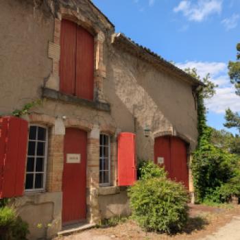 Languedocs faszinierende Weinwelt, die Landschaft, die Kulinarik und die Gesichter der Winzer - (c) Carola Faber