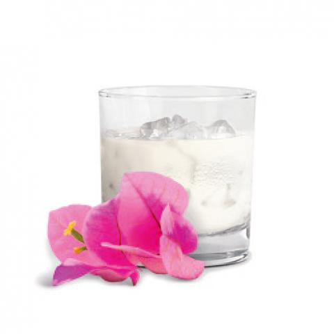 RumChata on the rocks Der Cremelikör RumChata tritt als Newcomer auf den Plan - (c) Köhnlechner Marketing RumChata on the rocks Der Cremelikör RumChata tritt als Newcomer auf den Plan - (c) Köhnlechner Marketing