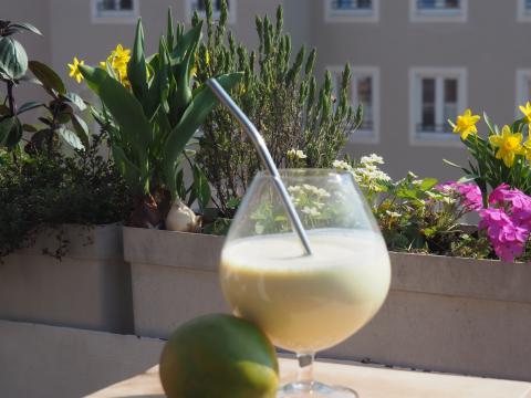 Mango-Lassi, eine schöne Erfrischung oder kleine Zwischenmahlzeit - (c) Jörg Bornmann Mango-Lassi, eine schöne Erfrischung oder kleine Zwischenmahlzeit - (c) Jörg Bornmann