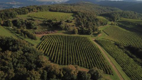 Brigaldara, hier die Case Vecie, ist ein Ort, der die verschiedenen Seelen des Valpolicella umschließti - (c) www.wellcomonline.com Brigaldara, hier die Case Vecie, ist ein Ort, der die verschiedenen Seelen des Valpolicella umschließti - (c) www.wellcomonline.com