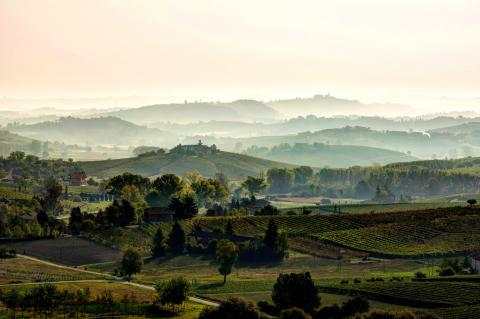 Die Weinproduktion des Monferrato erreicht neue Meilensteine - Piemont Weindaten 2021 - (c) Consorzio Barbera d'Asti e Vini del Monferrato Die Weinproduktion des Monferrato erreicht neue Meilensteine - Piemont Weindaten 2021 - (c) Consorzio Barbera d'Asti e Vini del Monferrato