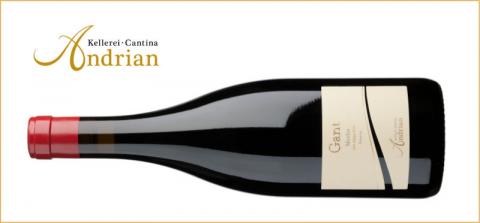Ein Geheimtipp für Sammler, der Gant Merlot Riserva der Cantina Andrian - (c) Cantina Andrian Ein Geheimtipp für Sammler, der Gant Merlot Riserva der Cantina Andrian - (c) Cantina Andrian