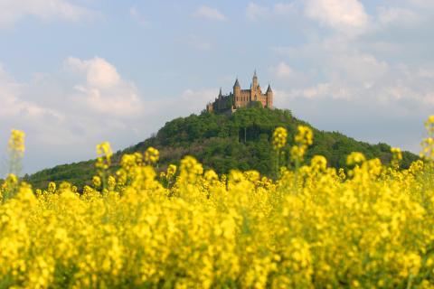 Fürstlich, schwäbische Tage - Hechingen und Burg Hohenzollern mit Vergangenheit und Gegenwart Fürstlich, schwäbische Tage - Hechingen und Burg Hohenzollern mit Vergangenheit und Gegenwart