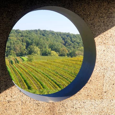 Collio: Eine verborgene Perle der Weinwelt im Friaul - (c) Susanne Wess Collio: Eine verborgene Perle der Weinwelt im Friaul - (c) Susanne Wess