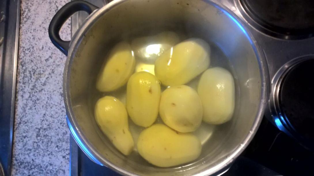 KartoffelLebkuchen Genussfreak