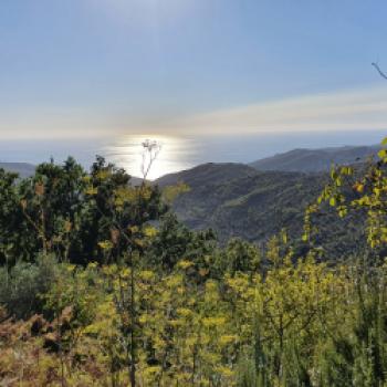 Cilento – der natürliche Genuss des Südens - Naturlandschaften - (c) Susanne Wess