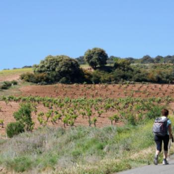 Mehr als nur Rotwein – La Rioja, das kleine, feine Weinbaugebiet in Spanien - (c) Klaus Pfenning