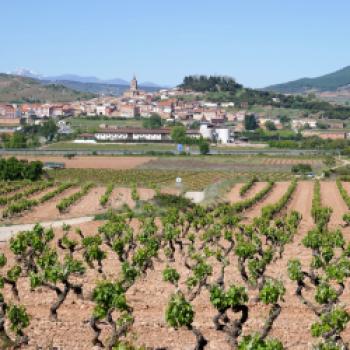 Mehr als nur Rotwein – La Rioja, das kleine, feine Weinbaugebiet in Spanien - (c) Klaus Pfenning