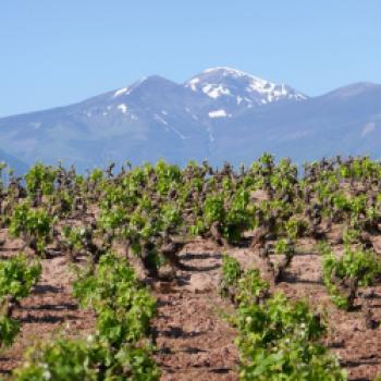 Mehr als nur Rotwein – La Rioja, das kleine, feine Weinbaugebiet in Spanien - (c) Klaus Pfenning