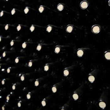 Israel - Paradies für Weinliebhaber - Judäa ist erste zertifizierte Weinregion des Landes - (c) Israele Wine of Judea