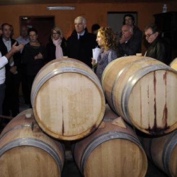 Israel - Paradies für Weinliebhaber - Judäa ist erste zertifizierte Weinregion des Landes - (c) Israele Wine of Judea