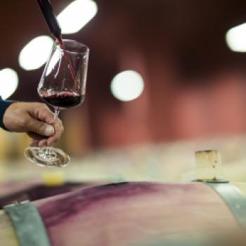 Südtirol DOC Wein - Kontrollierte Herkunftsbezeichnung seit 1971