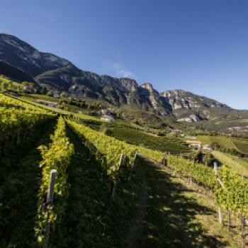 Südtirol DOC Wein - Kontrollierte Herkunftsbezeichnung seit 1971