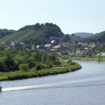  Steile Lagen, tolle Weine - Eine Weinreise entlang die Mosel  - (c) Deutsches Weininstitut