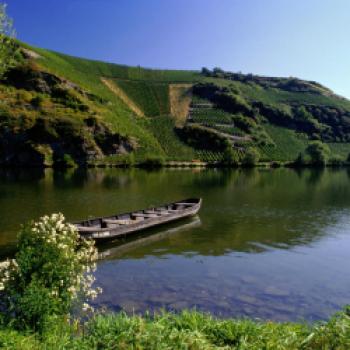  Steile Lagen, tolle Weine - Eine Weinreise entlang die Mosel  - (c) Deutsches Weininstitut