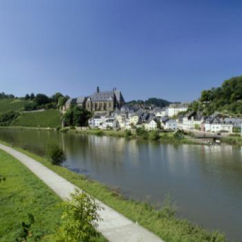  Steile Lagen, tolle Weine - Eine Weinreise entlang die Mosel  - (c) Deutsches Weininstitut