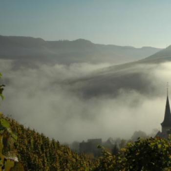  Steile Lagen, tolle Weine - Eine Weinreise entlang die Mosel  - (c) Deutsches Weininstitut