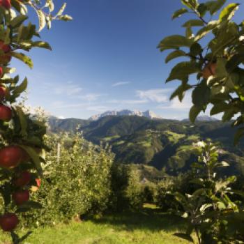 Südtiroler Apfel g.g.A. - Geschützte geografische Angabe seit 2005 - (c) Frieder Blickle