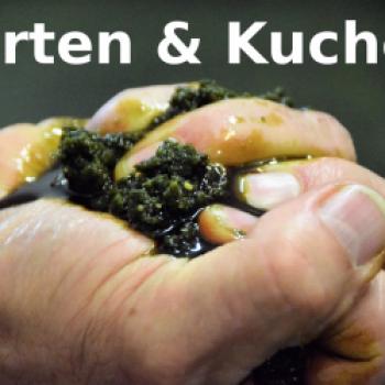 Steirische Rezepte mit Kürbiskernöl - Torten und Kuchen - (c) Gabi Vögele