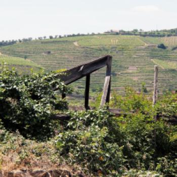 Andrea Vestri und Jean-Jacques Marcel laden am 16. Mai 2019 zum Stammtisch ‚Portugal vs Spanien' der Münchner Sommelierschule European Wine Education - (c) Jörg  Bornmann