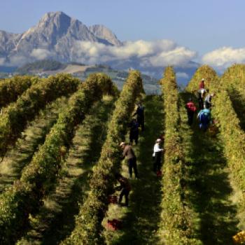 Grandi Vini d‘Abruzzo am 2. Oktober 2019 in München - (c) Consorzio Vini d’Abruzzo