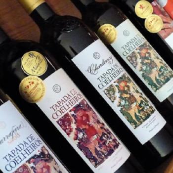 Die regionalen Weine aus dem Alentejo passen perfekt zu den Speisen der Region - (c) Sabine Zoller