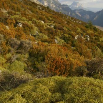 Aragón – Die Natur fühlen, riechen, essen und trinken ein Bericht von Gabi Dräger - (c) Instituto de Turismo de España (TURESPAÑA)
