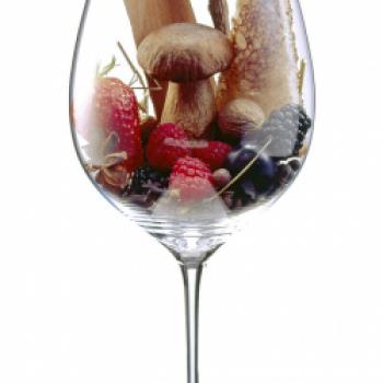 Der typische Spätburgunder hat einen leicht süßlichen Duft nach roten Früchten, von Erdbeere über Kirsche und Brombeere bis hin zur schwarzen Johannisbeere - (c) Deutsches Weininstitut