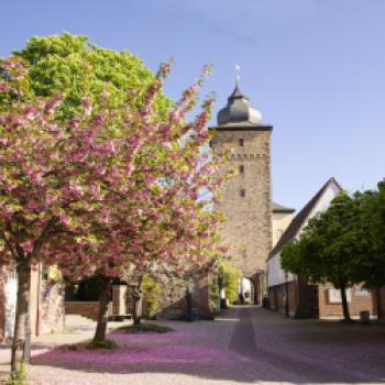 Karlsruhe – mmmhhhs für alle! - Karlsruher Wochenmärkte bieten viele Produkte aus der Region - (c) Karlsruhe Tourismus GmbH/Foto Düpper