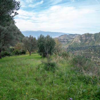 Genauer aus einem rund 100 Kilometer langen Streifen entlang der Ionischen Küste in der Provinz Reggio Calabria - (c) Maren Recken