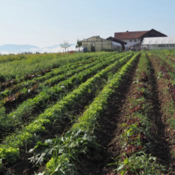 Mit dem Radl zu Besuch bei bäuerlichen Betrieben der Ökomodellregion Waginger See und Rupertiwinkel - (c) Jörg Bornmann