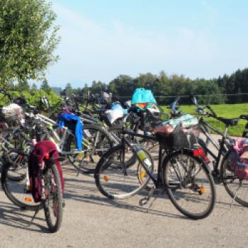 Mit dem Radl zu Besuch bei bäuerlichen Betrieben der Ökomodellregion Waginger See und Rupertiwinkel - (c) Jörg Bornmann