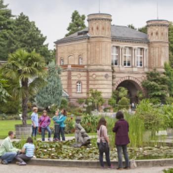 Karlsruhe – mmmhhhs für alle! - Karlsruher Wochenmärkte bieten viele Produkte aus der Region - (c) Karlsruhe Tourismus GmbH/Foto Düpper