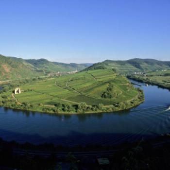  Steile Lagen, tolle Weine - Eine Weinreise entlang die Mosel  - (c) Deutsches Weininstitut