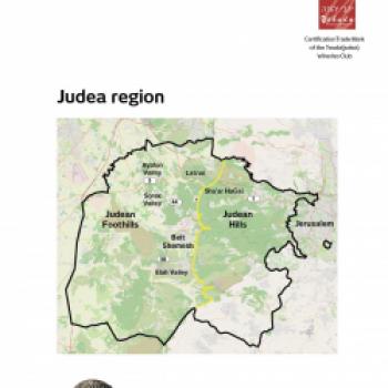 Israel - Paradies für Weinliebhaber - Judäa ist erste zertifizierte Weinregion des Landes - (c) Israele Wine of Judea