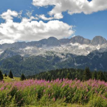 Friaul-Julisch Venetien - Unverfälschte Aromen und Düfte - (c) PromoTurismoFVG