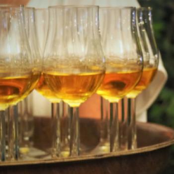 Bier³ in Baden – ‚Der Vogel‘ unfiltriert und unverwechselbar - (c) Jörg Bornmann