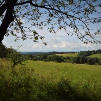 Wälder, Weiden und Felder bilden die abwechslungsreichen Landschaften des Vogelsberges - (c) Gabi Vögele