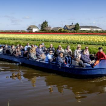Keukenhof – Blumenduft und Farbenpracht - Neben Tulpen sind auch Narzissen und Hyazinthen zu bewundern - (c) Keukenhof